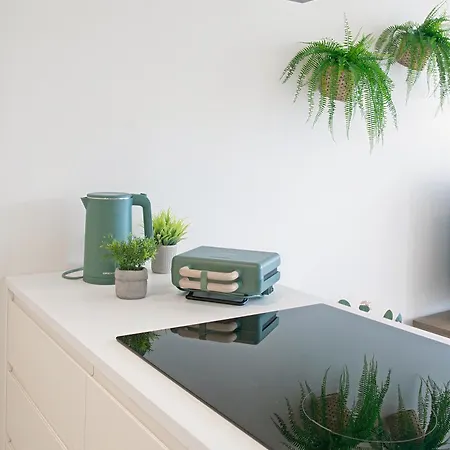 Land Roots Riverside * 빌라노바데가이아